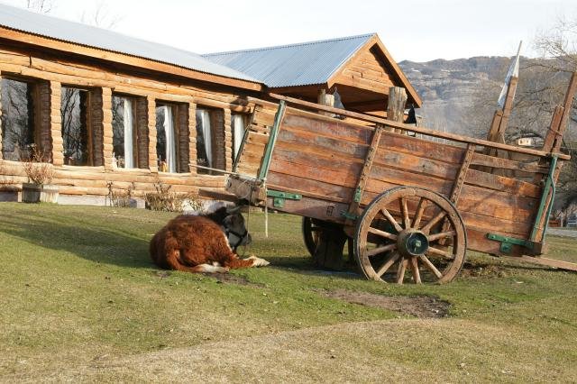 Urlaub in Südamerika 2011